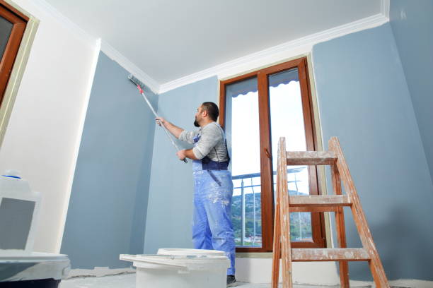 Best Drywall Sanding and Smoothing  in Plainview, TN